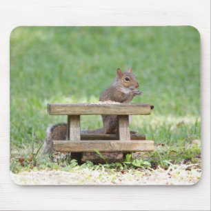 Eichhörnchen am Picnic-Tisch Mousepad
