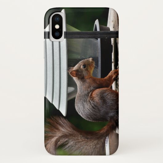 Eichhörnchen am Vogelfeeder Case-Mate iPhone Hülle (Rückseite)