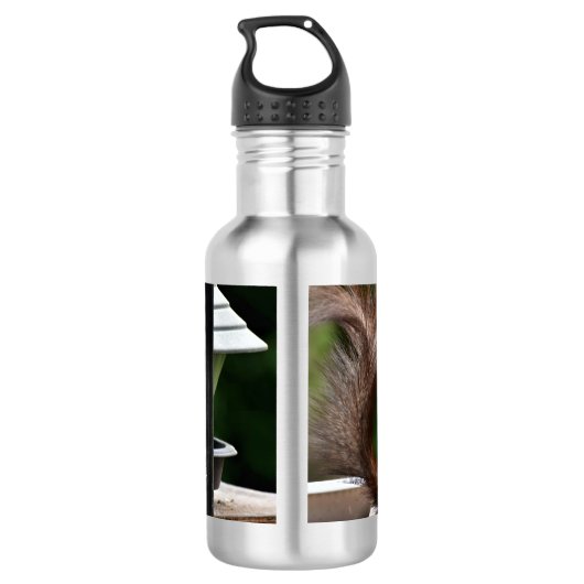 Eichhörnchen am Vogelfeeder Edelstahlflasche (Rückseite)
