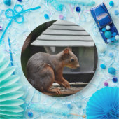 Eichhörnchen am Vogelfeeder Pappteller (Party)