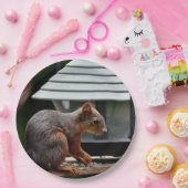 Eichhörnchen am Vogelfeeder Pappteller (Party)