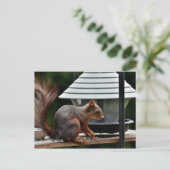 Eichhörnchen am Vogelfeeder Postkarte (Stehend Vorderseite)