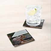 Eichhörnchen am Vogelfeeder Rechteckiger Pappuntersetzer (Vor Ort)