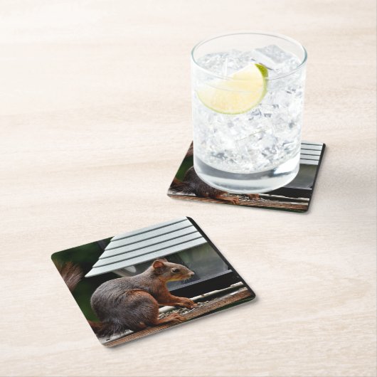 Eichhörnchen am Vogelfeeder Rechteckiger Pappuntersetzer (Vor Ort)