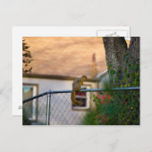 Eichhörnchen am Zaun Postkarte (Vorne/Hinten)