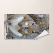 Eichhörnchen an einer Nut Badhandtuch Set (Handtuch)