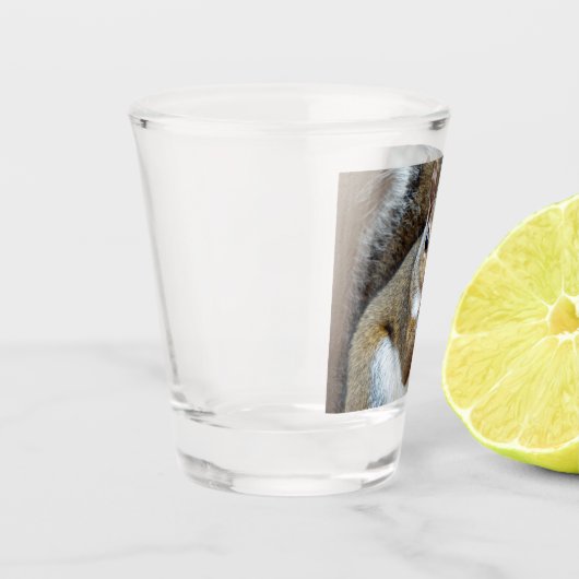 Eichhörnchen an einer Nut Schnapsglas (Links)