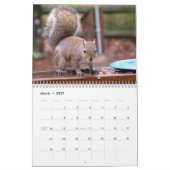 Eichhörnchen Antik Kalender (Mär 2027)