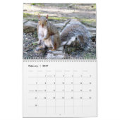 Eichhörnchen Antik Kalender (Feb 2027)