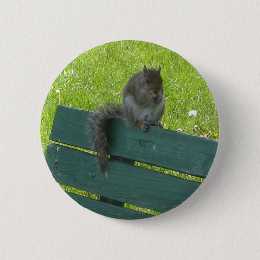 Eichhörnchen auf Bank Button (Vorderseite)