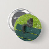 Eichhörnchen auf Bank Button (Vorne & Hinten)