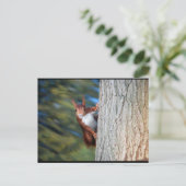 Eichhörnchen auf Baum Postkarte (Stehend Vorderseite)