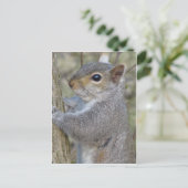 Eichhörnchen auf Baum Postkarte (Stehend Vorderseite)