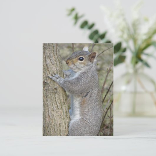 Eichhörnchen auf Baum Postkarte (Stehend Vorderseite)