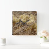 Eichhörnchen auf Cholla Cactus Skeleton Quadratische Wanduhr (Zuhause)
