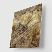 Eichhörnchen auf Cholla Cactus Skeleton Quadratische Wanduhr (Winkel)