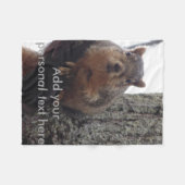 Eichhörnchen auf deine Decke schauend (Vorderseite (Horizontal))