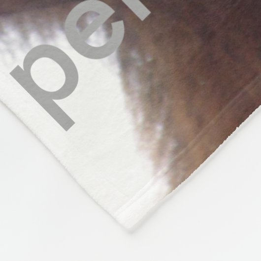 Eichhörnchen auf deine Decke schauend (Ecke)