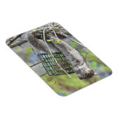 Eichhörnchen auf dem Kopf essen Magnet (Rechte Seite)