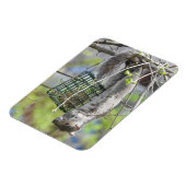 Eichhörnchen auf dem Kopf essen Magnet (Linke Seite)