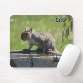 Eichhörnchen auf dem Vogelbad mit Ihren Initialen Mousepad (Mit Mouse)