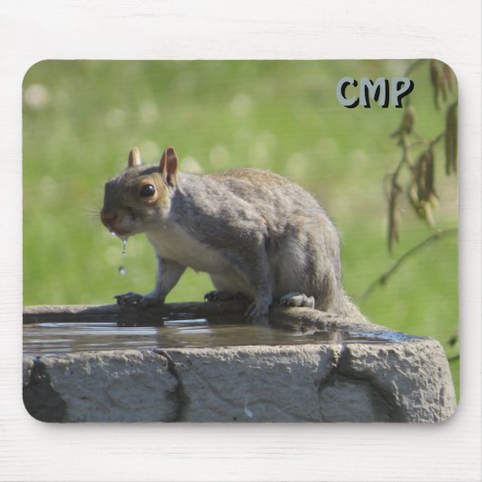 Eichhörnchen auf dem Vogelbad mit Ihren Initialen Mousepad (Vorne)
