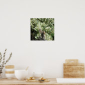 Eichhörnchen auf dem Zaun Print Poster (Küche)