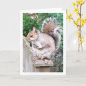 Eichhörnchen auf der Post Karte (Gelbe Blume)