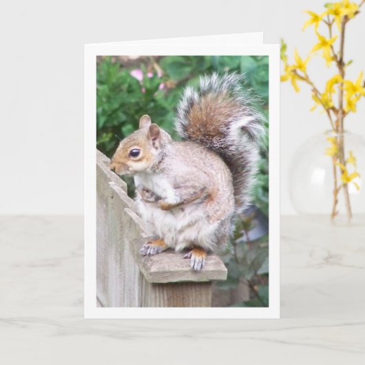 Eichhörnchen auf der Post Karte (Gelbe Blume)