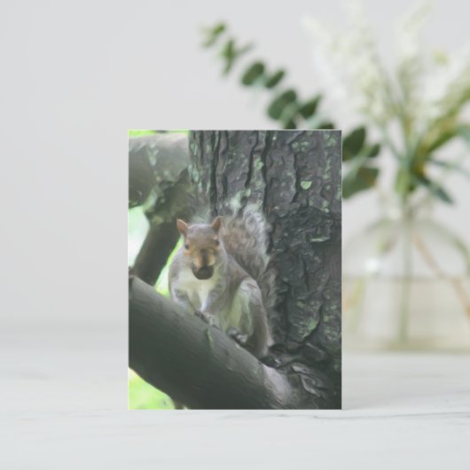 Eichhörnchen auf der Postkarte von Baum und Tier (Stehend Vorderseite)