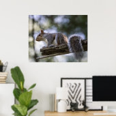 Eichhörnchen auf einem Ast sitzend Poster (Heimbüro)