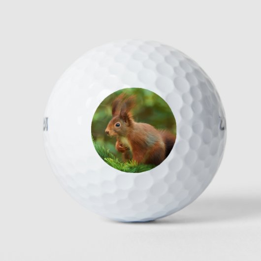 Eichhörnchen auf einem Baum Golfball (Vorderseite)