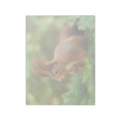Eichhörnchen auf einem Baum Notizblock (Rotiert)