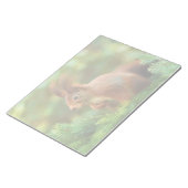 Eichhörnchen auf einem Baum Notizblock (angewinkelt)