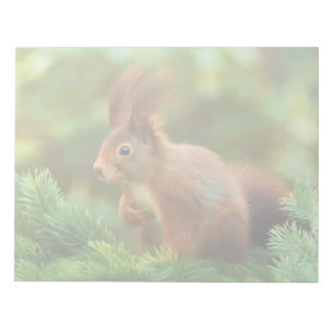 Eichhörnchen auf einem Baum Notizblock