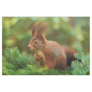 Eichhörnchen auf einem Baum Stoff