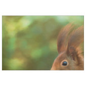 Eichhörnchen auf einem Baum Stoff (Fat Quarter (45,7 x 55,9 cm))