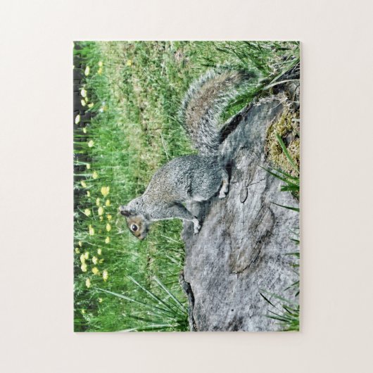 Eichhörnchen auf einem Baumstumpf Puzzle (Vertikal)