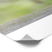 Eichhörnchen auf einem Teekessel Poster (Ecke)