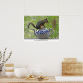 Eichhörnchen auf einem Teekessel Poster (Küche)