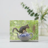Eichhörnchen auf einem Teekessel Postkarte (Stehend Vorderseite)