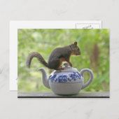 Eichhörnchen auf einem Teekessel Postkarte (Vorne/Hinten)