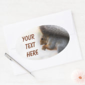 Eichhörnchen auf einer Bank und Nüsse Ovaler Aufkleber (Umschlag)