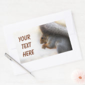 Eichhörnchen auf einer Bank und Nüsse Rechteckiger Aufkleber (Umschlag)