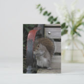 Eichhörnchen auf einer Parkbank individuell anpass Dankeskarte (Stehend Vorderseite)