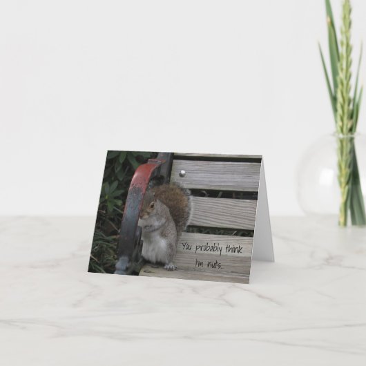 Eichhörnchen auf einer Parkbank-Karte Dankeskarte (Vorderseite)