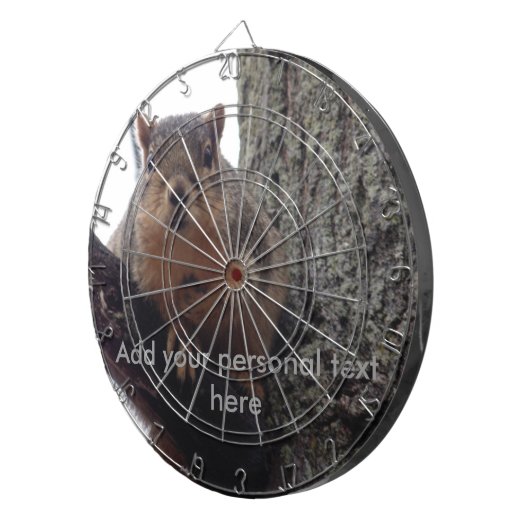 Eichhörnchen auf Ihre Dartscheibe (Vorderseite rechts)