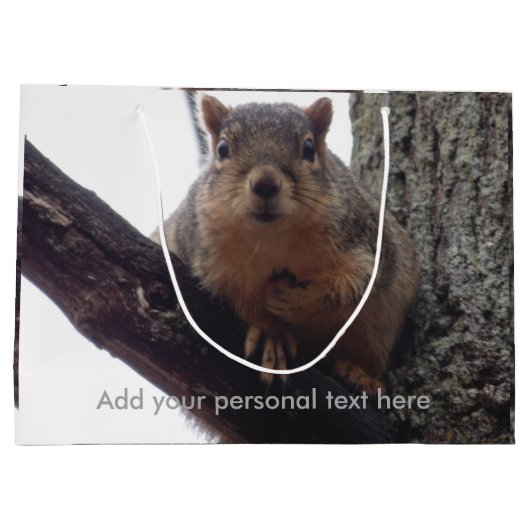 Eichhörnchen auf Ihre Geschenktüte schauen (Rückseite)