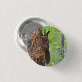 Eichhörnchen auf Kiefer – realistische Ölgemälde Button (Vorne & Hinten)