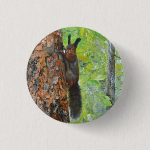 Eichhörnchen auf Kiefer – realistische Ölgemälde Button